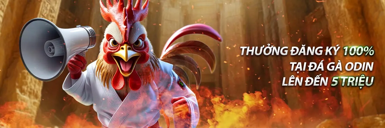 Tin tức bl555 đăng ký mới nhất và ưu đãi độc quyền