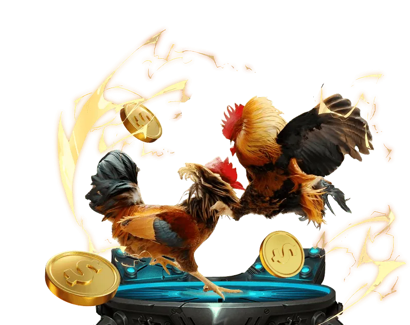 Lịch sử phát triển BL555